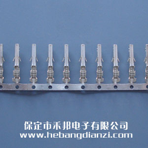 5556���ٶ���