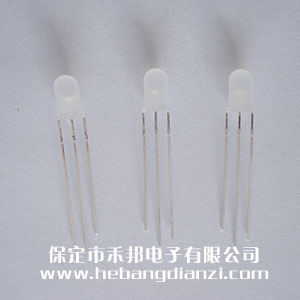 ��5��-�t�G�pɫ���