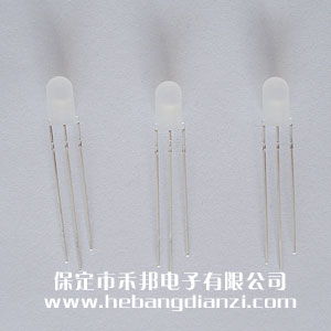 ��5��-�t�G�pɫ���