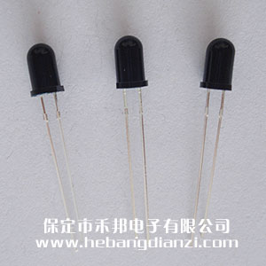 ��5�t����չ�