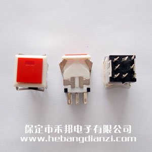 �����_�P(gu��n)WPT-21 �t