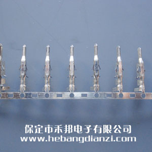 5558���ٶ���