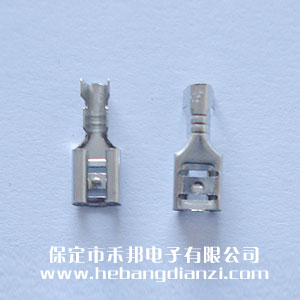 4.8���(�����o(h��)��)