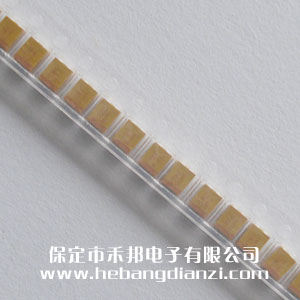 33uF �NƬ�g��� 16V