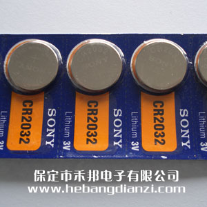 CR2032 �M��