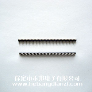 2.0���ňA����