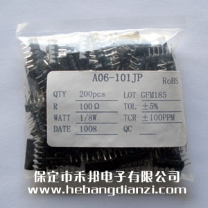 A06-101 6�_ 100�W