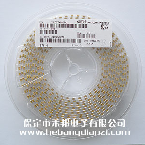 220UF �NƬ�g��� 6.3V