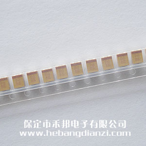 22UF �NƬ�g��� 20V