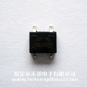 DB207S �Nʽ������