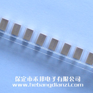 330UF �NƬ�g��� 10V