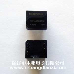 �߸��x485ģ�K TDH301D485H