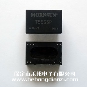 ���x׃���� T5533P