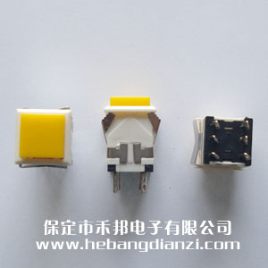 �����_�P(gu��n)WPT-24 �S