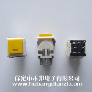 �����_�P(gu��n)WPT-22 �S