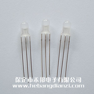 ��5��-�t�S�pɫ���