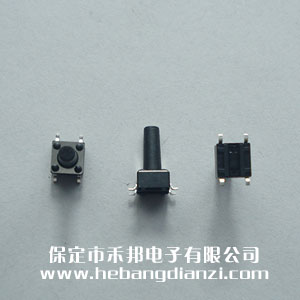 �Nʽ�p�|�_�P6*6*12.5mm