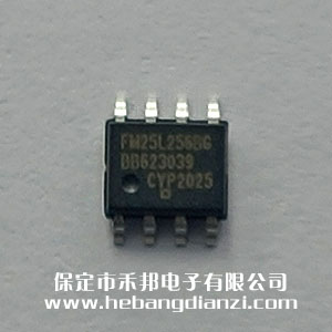 FM25L256BG ����