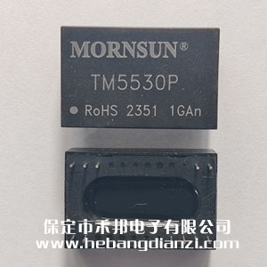 ���x׃���� TM5530P