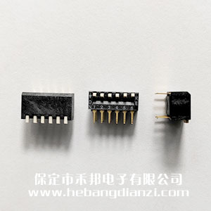 6P��(c��)��DSPV06LH