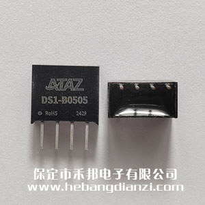 DS1-B0505��B0505S-1WR3��